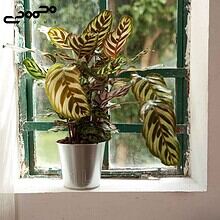 گلدان فلزی ایکیا مدل ÅKERBÄR