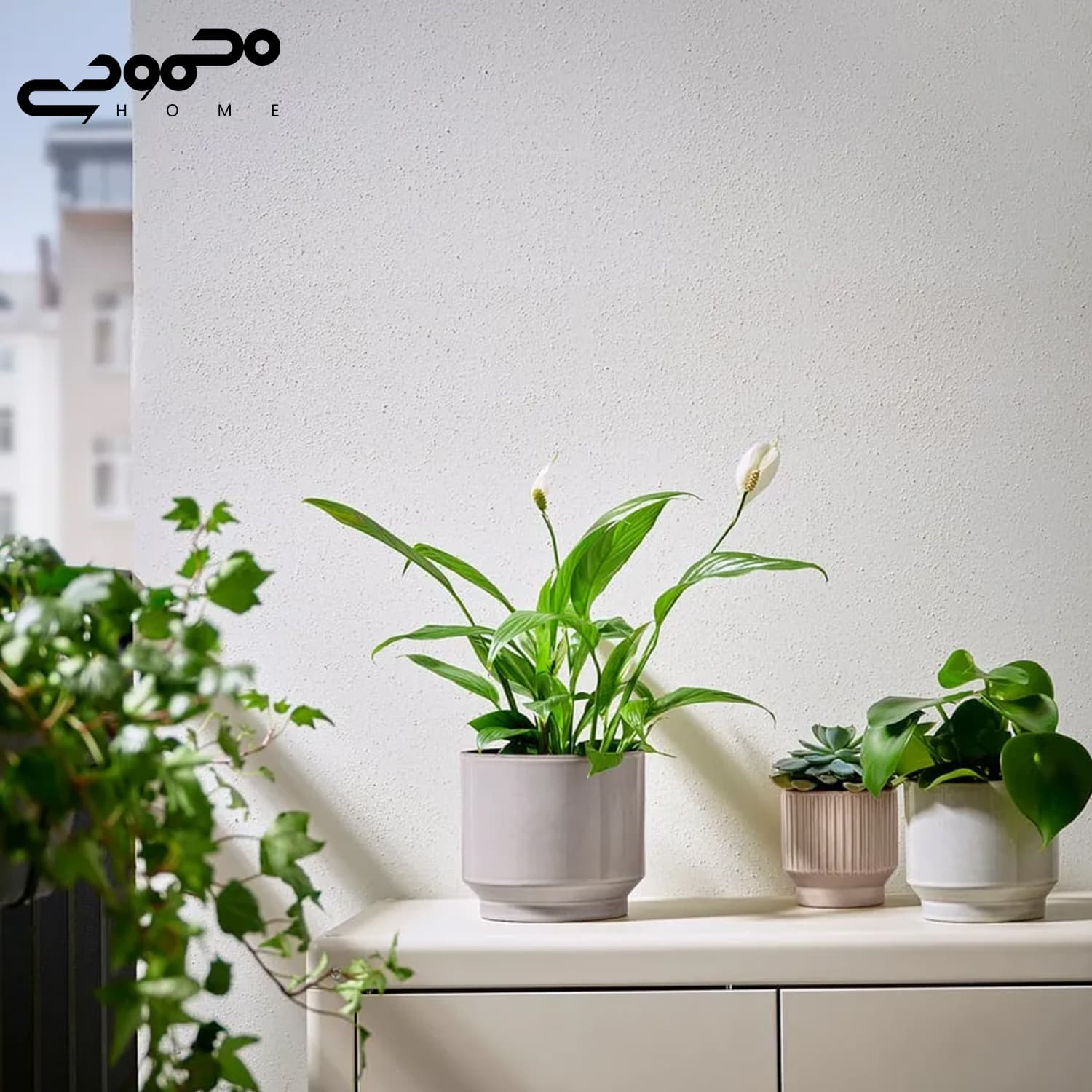 گلدان ایکیا مدل HONUNGSPALM