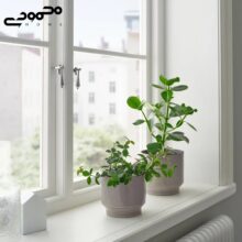 گلدان ایکیا مدل HONUNGSPALM