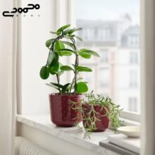 گلدان ایکیا مدل SESAMFRÖN