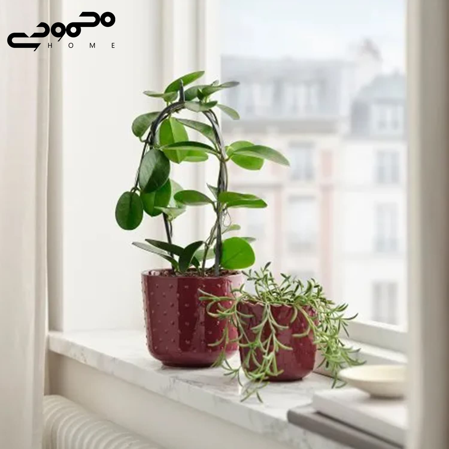 گلدان ایکیا مدل SESAMFRÖN