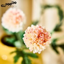 گل مصنوعی داوودی ایکیا مدل SMYCKA