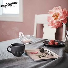 ماگ ایکیا مدل STRIMMIG