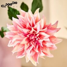 گل مصنوعی دالیا صورتی ایکیا مدل SMYCKA